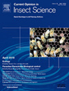 current research insect science