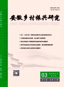 安徽乡村振兴研究